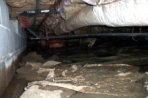 Crawl Spaces ... can be spooky! - Old Town Builders